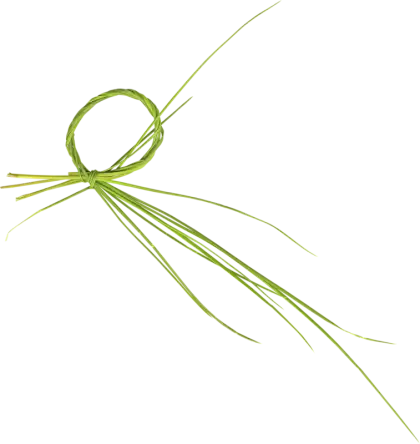 Green Grass Ring