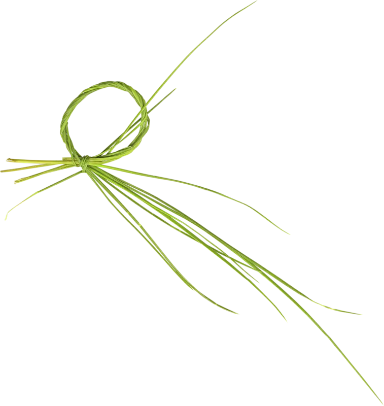 Green Grass Ring