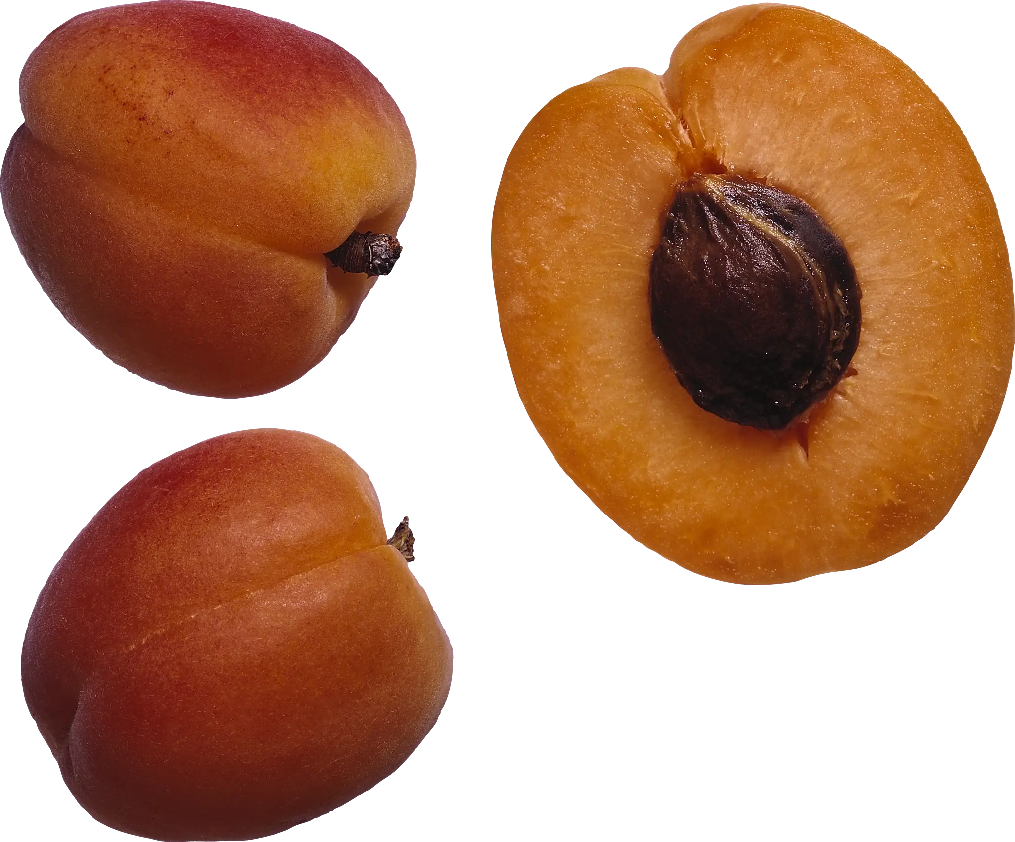 Ripe Apricot with Seed