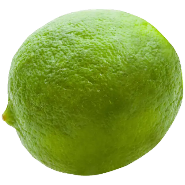 Bright Green Lime Close-Up