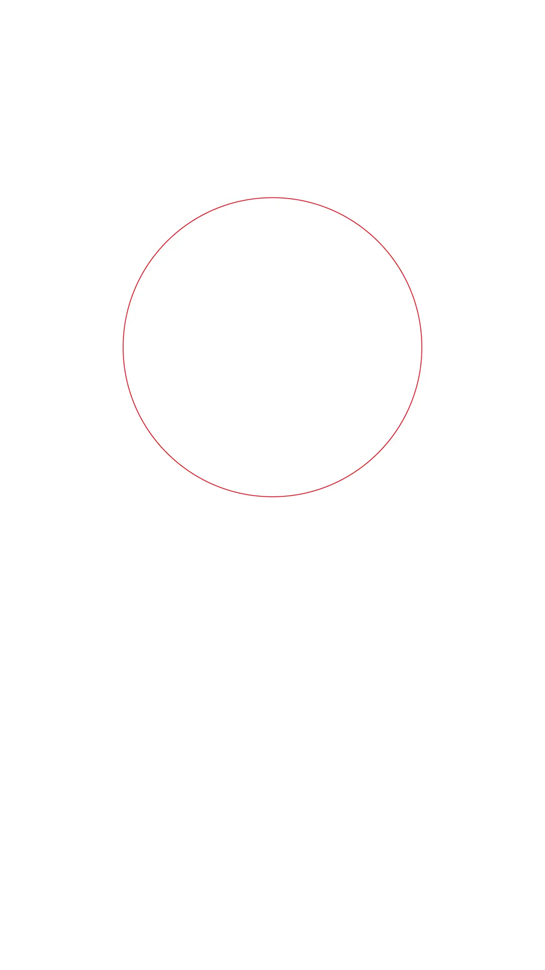 Red Outlined Circle