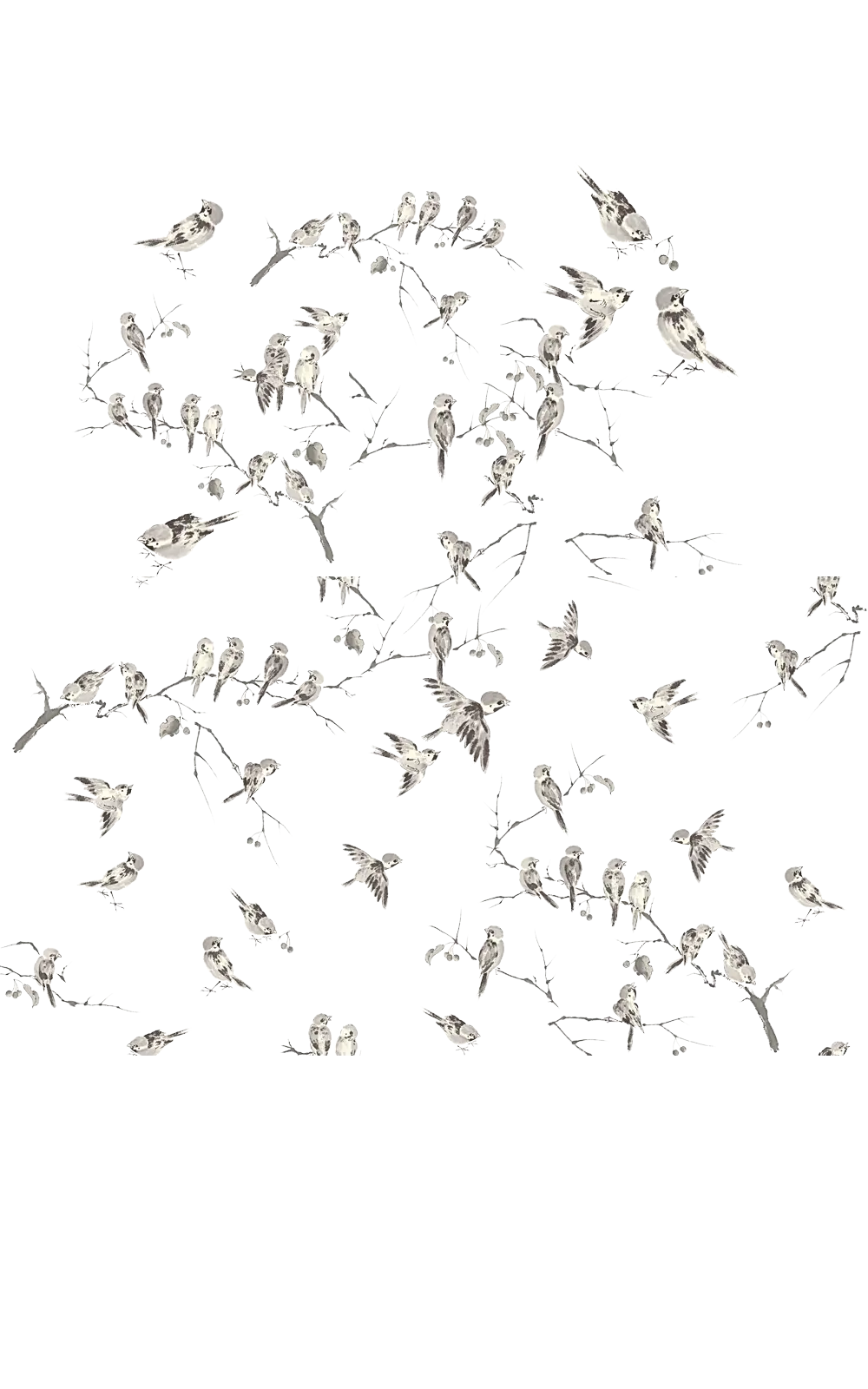 Flock of Birds Perched on Branches
