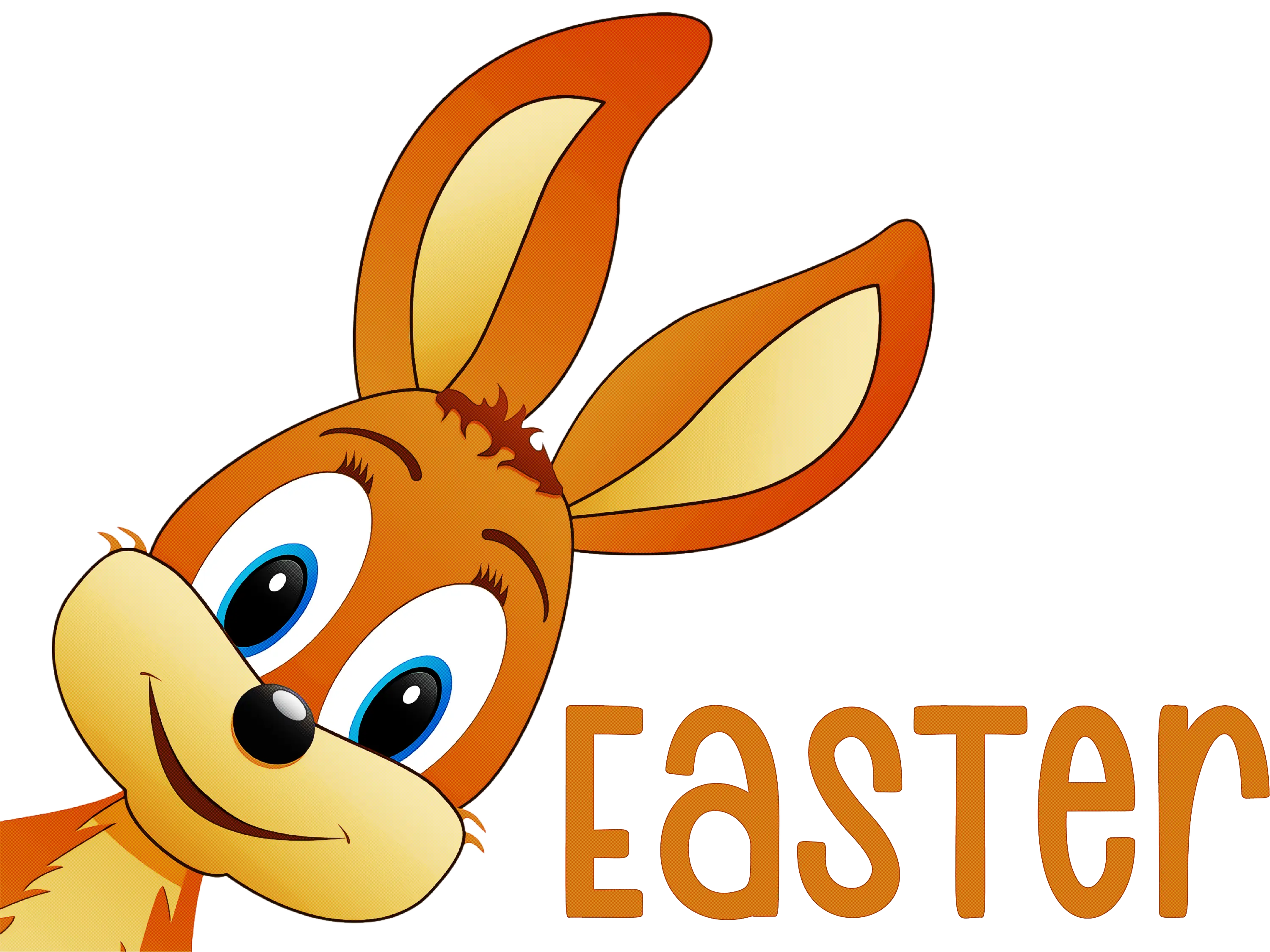 Easter Bunny Illustration