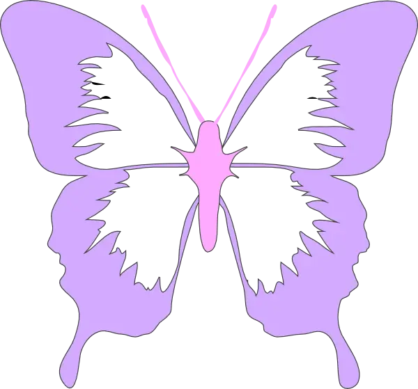 Purple Butterfly Illustration