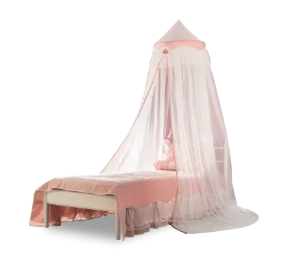 Elegant Canopy Bed with Netting