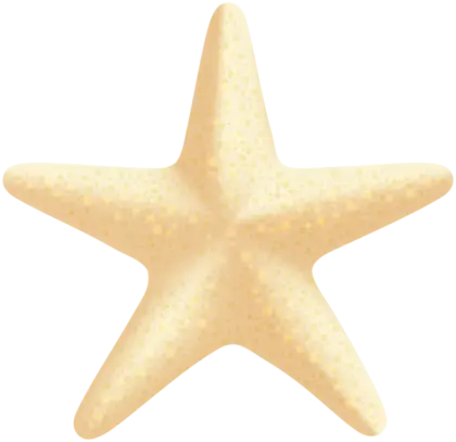 Yellow Starfish for Coastal Decoration