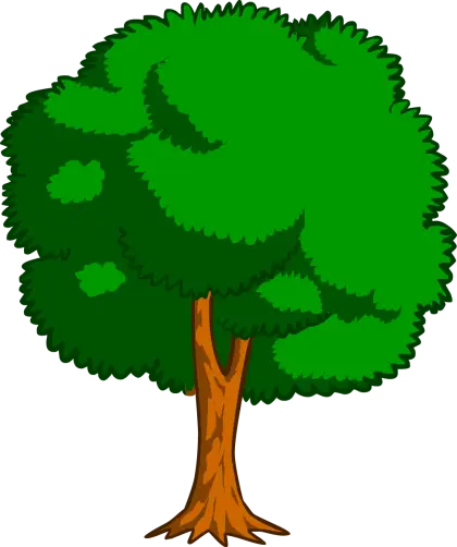 Green Leafy Tree