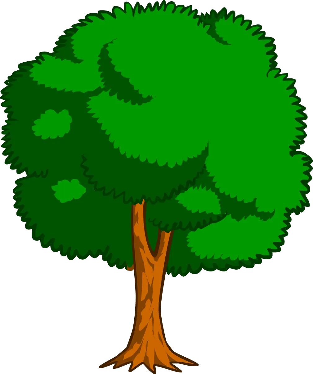 Green Leafy Tree