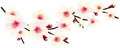 Pink Cherry Blossom Branch