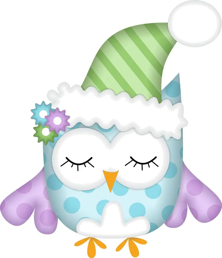 Cute Owl with Winter Hat