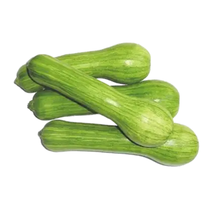 Pile of Green Zucchini