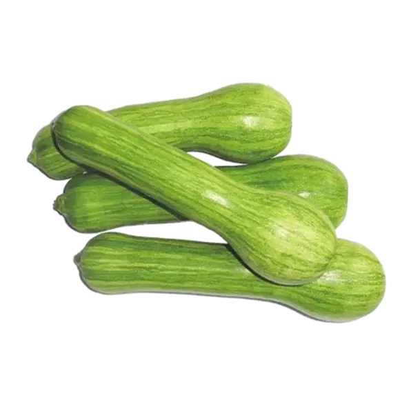 Pile of Green Zucchini