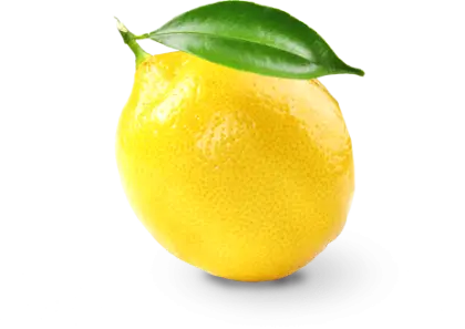 Fresh Yellow Lemon with Green Leaf