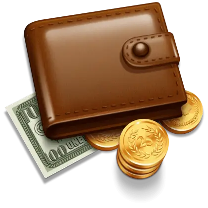 Leather Wallet with Money