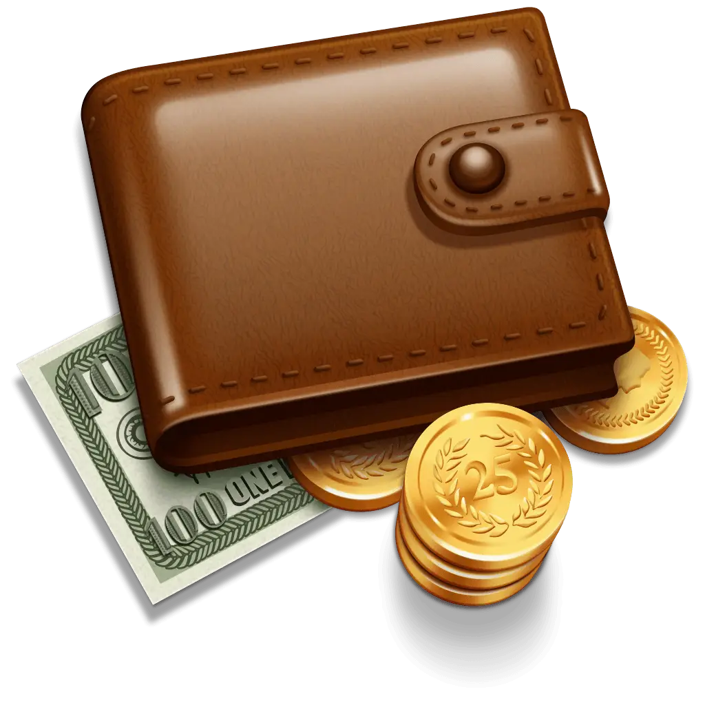 Leather Wallet with Money