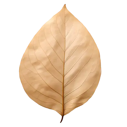 Golden Decorative Leaf with Natural Texture
