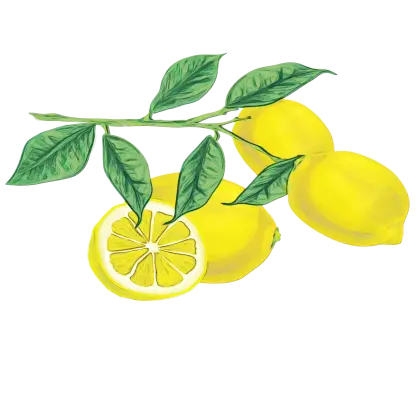 Yellow Lemons with Green Leaves
