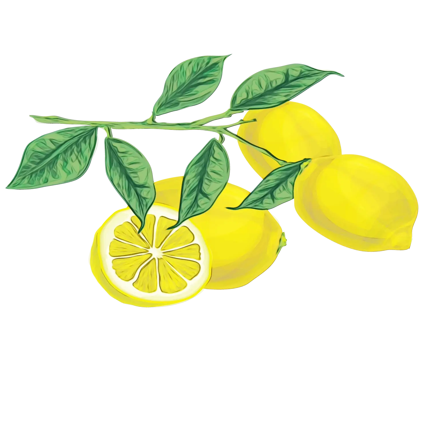 Yellow Lemons with Green Leaves
