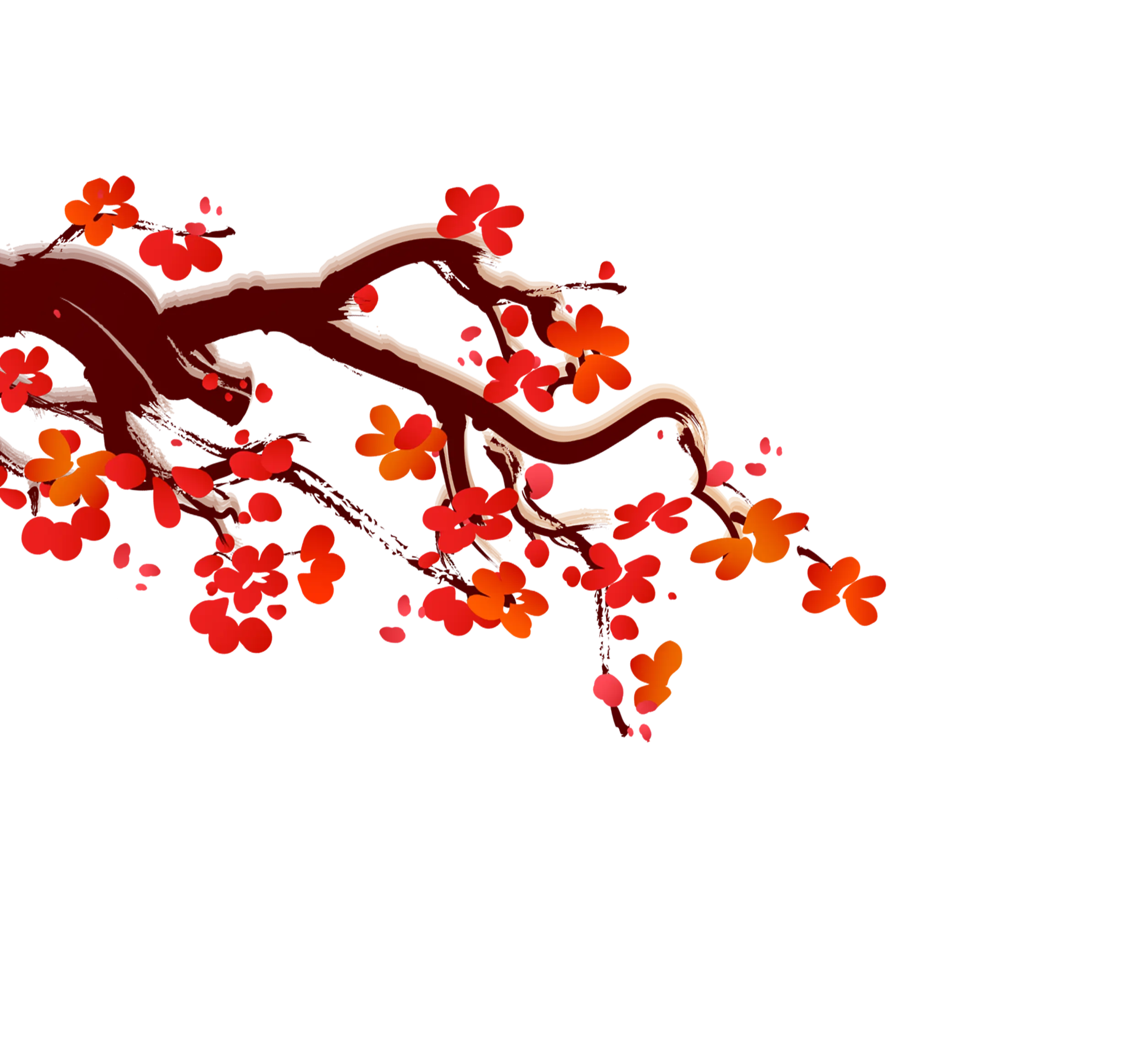 Cherry Blossom Branch in Red Petals Illustration
