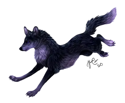 Running Black Wolf Illustration