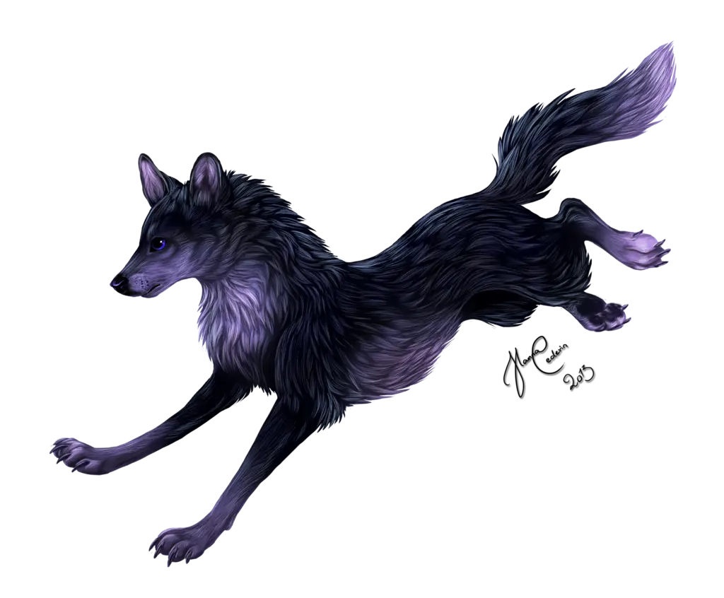 Running Black Wolf Illustration
