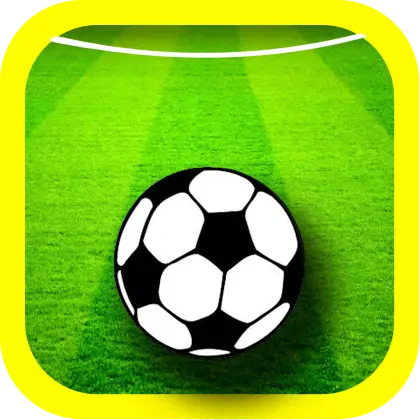 Soccer Ball on Field