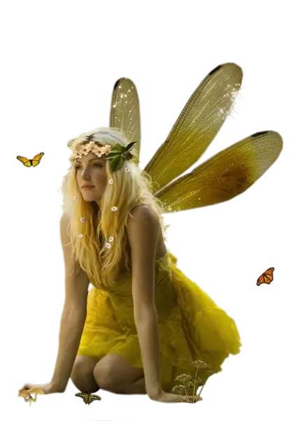Enchanting Fairy with Golden Wings