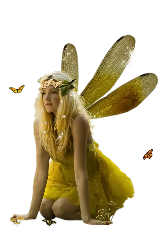 Enchanting Fairy with Golden Wings
