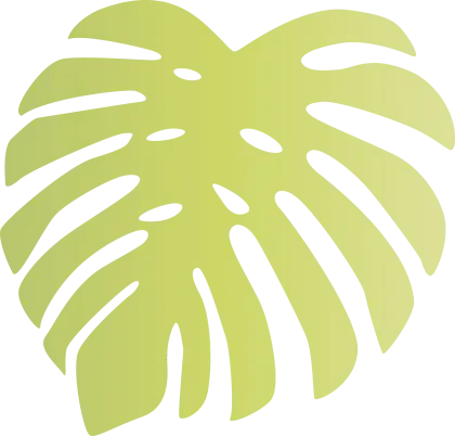 Monstera Leaf Botanical Illustration