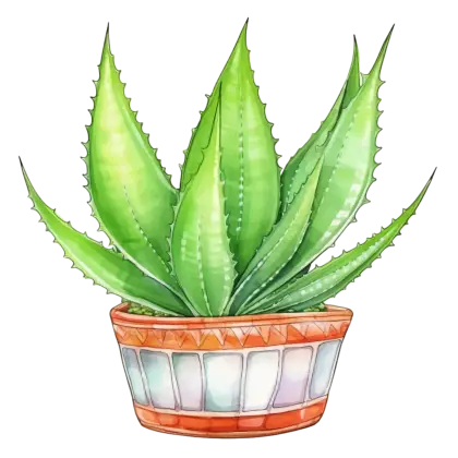 Aloe Vera Potted Plant Illustration