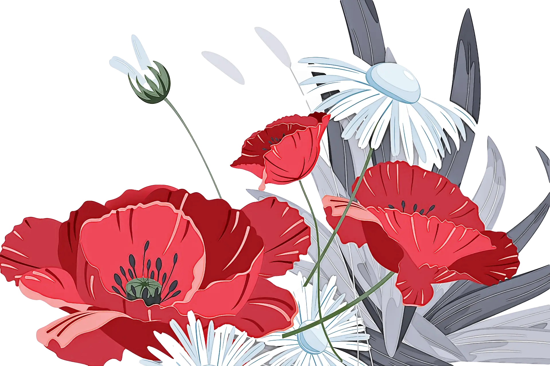 Beautiful Red and White Floral Illustration