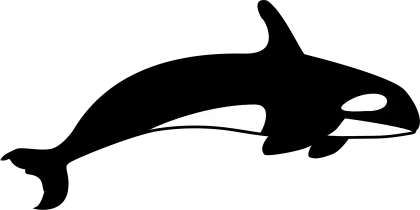 Orca Silhouette Design