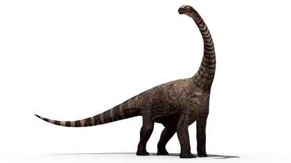 Long-Necked Dinosaur Illustration