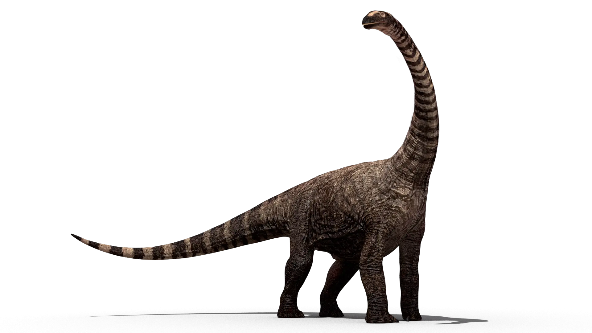 Long-Necked Dinosaur Illustration