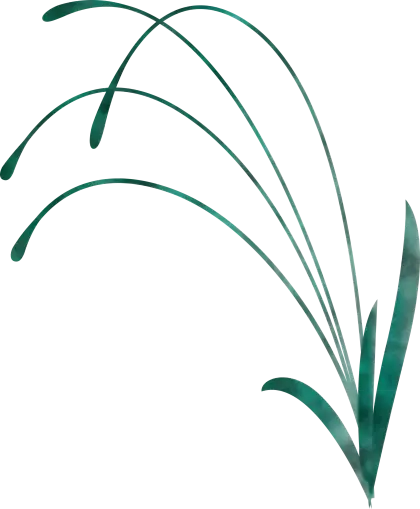 Green Grass Sprigs Illustration in Minimalist Style