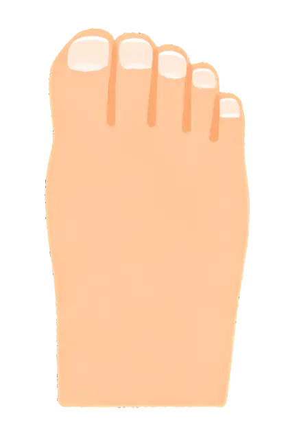 Illustration of a Foot