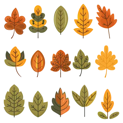 Collection of Autumn Leaves for Seasonal Themes
