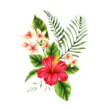 Tropical Hibiscus Flower Design