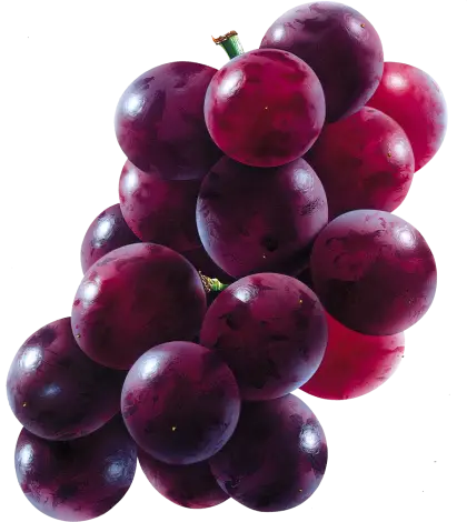 Purple Grapes Bunch for a Healthy Snack
