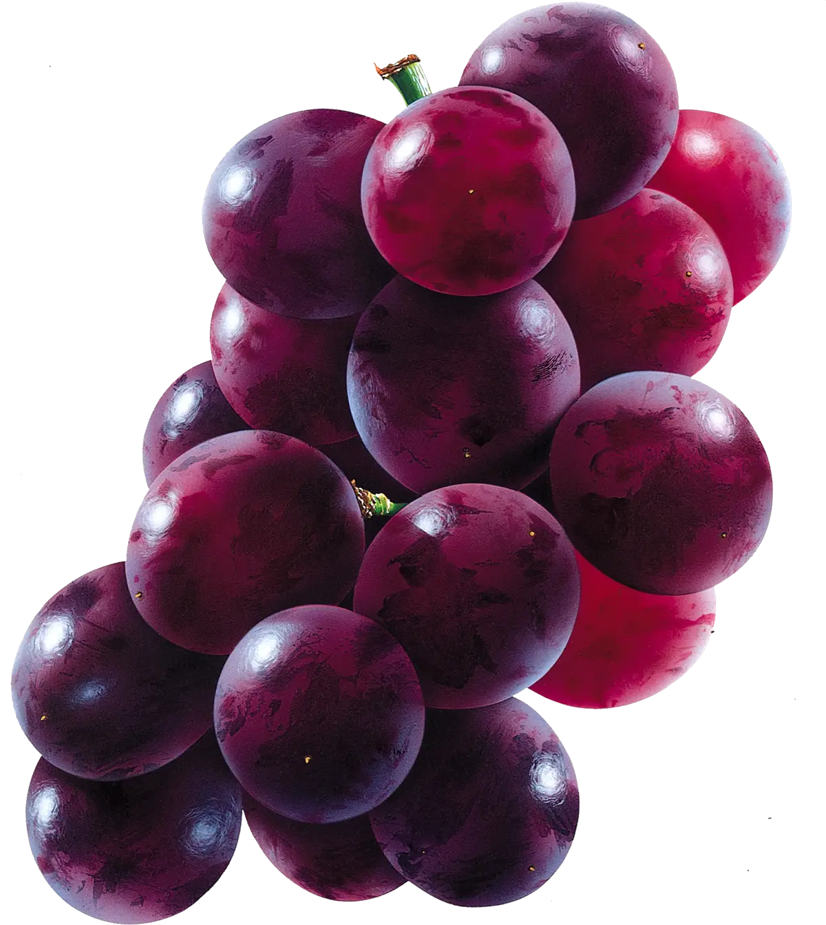 Purple Grapes Bunch for a Healthy Snack