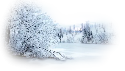Beautiful Snowy Winter Landscape with Frozen Trees