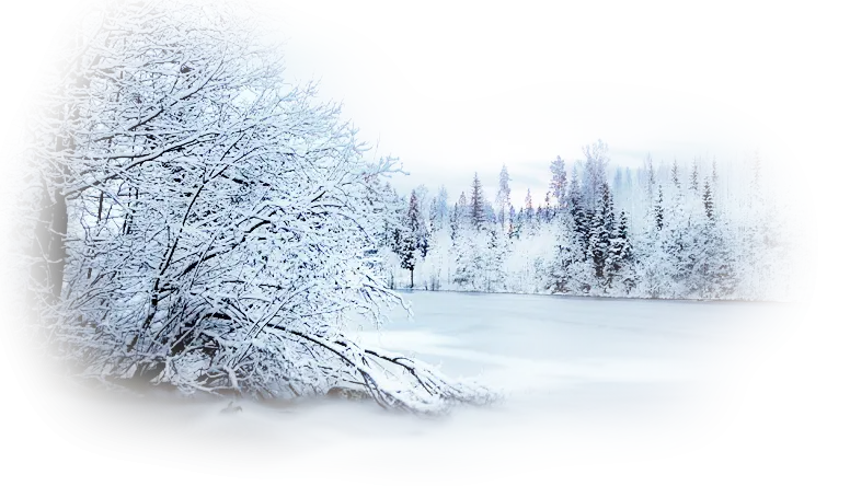 Beautiful Snowy Winter Landscape with Frozen Trees