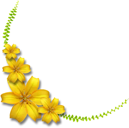 Decorative Yellow Flowers and Green Leaves