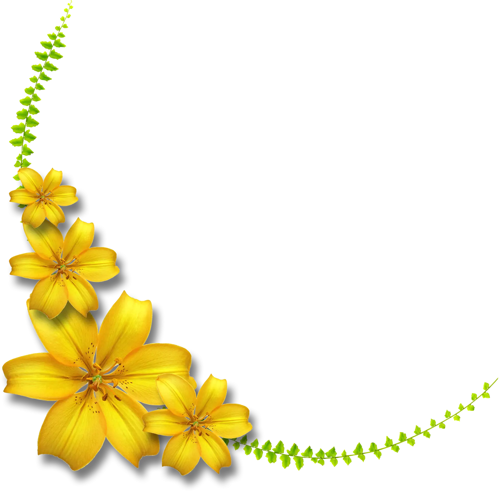 Decorative Yellow Flowers and Green Leaves