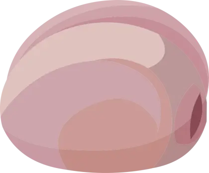 Cartoon Ham Illustration for Food Concepts