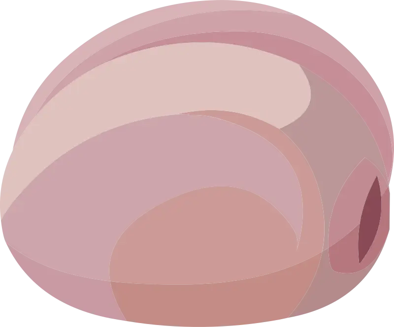 Cartoon Ham Illustration for Food Concepts