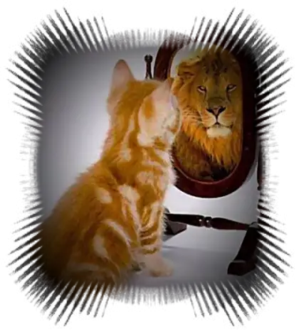 Cat Seeing Lion in Mirror