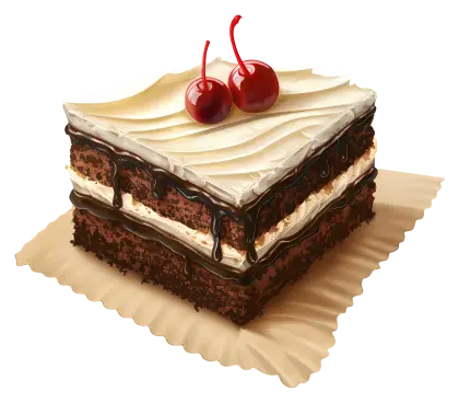 Delicious Chocolate Layered Cake Slice