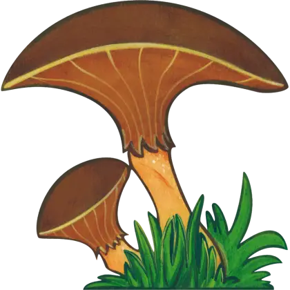 Cartoon Illustration of Brown Mushrooms