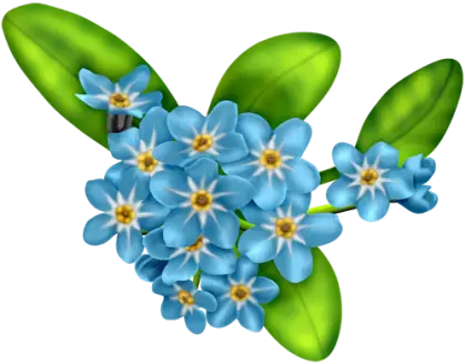 Blue Forget-Me-Not Flowers with Green Leaves